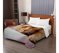 Odot Couvre Lit Matelassée, 3D Chat Imprimé Couvre-lit d'été Réversible Doux Microfiber Couverture Dessus de Lit Courtepointe pour lit Simple ou lit Double (Gros Chat Orange,200x230cm)