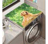 Odot Tapis Supérieur pour Machine à Laver en Terre de Diatomées, Absorbant Anti-Poussière Séchage Rapide, Antidérapant Découpable Protection pour Salle de Buanderie (Mannequin canin,30x40cm)