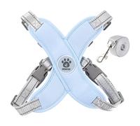 Odoukey Extra Petit Harnais de Chien et Laisse, réglable sans étrangler Pas de Traction réfléchie avec Une Corde Traction pour la Sortie la Sortie, Bleu