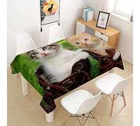Oduo Nappe Imperméable Polyester Rectangulaire, Nappe à imprimé Chat Antitache Anti-Moisissure Antifouling Lavable et Facile d'entretien Cuisine Fête (Petit Chat 3D,140x220cm)