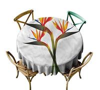 Odyssee : un voyage dans la lumière