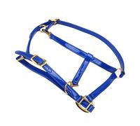 OEBUAFI Bridon de Cheval 20mm, Têtière en Cuir Synthétique Double Couche, Imperméable, Résistant aux Odeurs, Facile à Nettoyer avec Boucles en Alliage doré pour Entraînement et Compétition