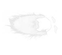 OEBUAFI Ensemble de Barbe de Père Noël avec Corde Élastique Ajustable pour Noël Fausse Barbe Blanche Auto-Adhésive pour Fête D'Anniversaire Fête Costume Flanelle 3 Pièces