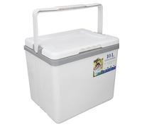 OEBUAFI Glacière Isolée de 10 L, Glacière Rigide Portable avec Poignée Robuste pour Le Camping, Pique-Nique, Pêche, Plage, Voyage, épicerie (White)
