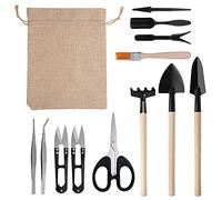 OEBUAFI Mini Ensemble D'Outils de Plantation de Jardin 13 Pièces, Pince à Ciseaux en Acier Inoxydable, Brosse pour bonsaï Succulents, avec Outils de Transplantation à Double Usage