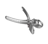 OEBUAFI Outil Casse-noisette Portable avec Pince à Châtaigne, doté D'un Design à Ressort pour une Utilisation Facile à la Maison et en Voyage, fabriqué en Acier Inoxydable 304