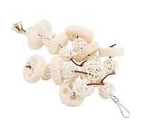 OEBUAFI Perroquet Loofah Swing Toy Lissage Suspendu Debout Jouet Convient à Les Petits Perroquets Alexander, Convient 27 X 14 Cm
