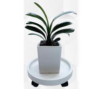 OEBUAFI Plateau de Pot de Fleur à Roues Rotatives Support de Plante de Forme Ronde pour Balcon en Plastique Blanc 1 X unité (30)