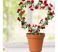 OEBUAFI Support d'escalade pour Plantes en Métal, Treillis en Fer Noir Robuste, 2 Pièces pour Roses, Pois, Gloires du Matin (Black)