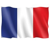 Oedim Drapeau de France | 150 x 85 cm | Renforcé et surpiqûres | Drapeau avec 2 œillets métalliques et résistant à l'eau