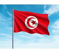 OEDIM Drapeau de la Tunisie | 150x85cm | Renforcé et surpiqûres | Drapeau avec 2 oeillets métalliques et résistant à l'eau