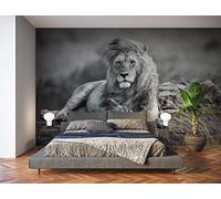 Oedim Stickers muraux Photo Image | Lion noir et blanc Savane | De 350 x 250 cm | Sticker Vinyle Adhésif Autocollant Fond Mural |