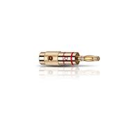Oehlbach 3001 Banana B1 Connecteur Or