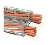 Oehlbach câble de Haut-Parleur 2 x 6 mm ² Transparent