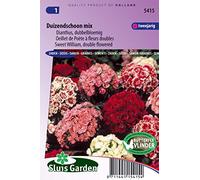 Oeillet de Poète à fleurs doubles Mix - Graines De Fleurs Bisannuelles