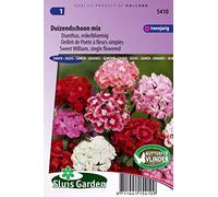 Oeillet de Poète à fleurs simples Mix - Graines De Fleurs Bisannuelles