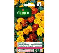 Oeillet d'Inde double nain varié - VILMORIN - Graine - Soleil - Balcon et terrasse - Jaune