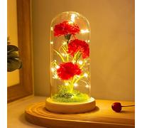 Oeillet Rouge avec lumière LED, Fleurs artificielles intemporelles dans Un dôme Transparent, Base en Bois pour éclairer Les Fleurs, Anniversaire,Saint Valentin,Fête des mères Cadeau, pour Femme