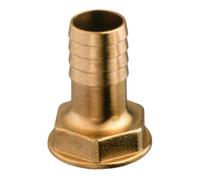 Oem Marine Connecteur Droit F 1´´ 25 Mm