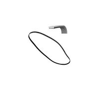 OEM Systems 1970 H7 POLY-V Courroie pour machine à laver