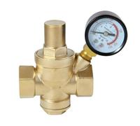 OEM Systems Company Réducteur de pression en laiton avec manomètre Femelle (DN20)