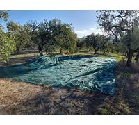 OEM SYSTEMS Filet pour la Cueillette des Olives - sans Ouverture Anti-épines Angles Renforcés Ensemble Léger, Stabilisé - 8 x 8 Minsecticide