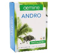 Oemine Andro 30 capsules + 30 gélules