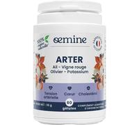 Oemine Arter 60 Gélules