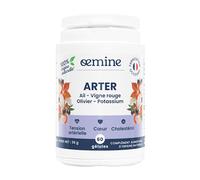 Oemine Arter 60 gélules
