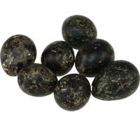 Oeuf de caille Décoration Noir Vide 3cm Oeufs de Pâques Décoration de printemps Décoration naturelle 50 pièces