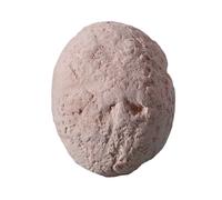 Oeuf De Dinosaure Fait À La Main Pour Enfants,Boîte Ennemi,Jouets D'archéologie,Éducation De La Maternelle,Excavation De Fossiles,Cadeaux De Bricolage,Amour - Type Dinosaur