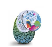 Oeuf De Dragon A Faire Eclore