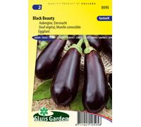 Oeuf de plante, Graines comestibles de Morelle Black Beauty - Légumes ou plantes à fruits - Environ 0,5 g | SG0595