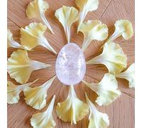 Oeuf De Yoni en Quartz cristal - grand - non troué