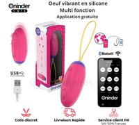 Oeuf Vibrant Multi fonction Avec application gratuite Plaisir Couple Femme Homme