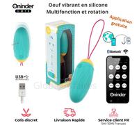 Oeuf Vibrant Sextoy Multi fonction application gratuite Plaisir Femme Couple Hom