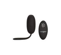 Oeuf Vibrant Télécommandé Silicone