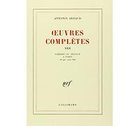 Oeuvres complètes, t. XXII. Cahiers de Rodez
