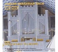 Oeuvres Pour Orgue : Préludes Et Fugues Bwv 552 Nos. 1 Et 2 Et Bwv 534, Chorals Bwv 600, 604, 614, 618, 621, 639, Partita Bwv 745, Choralbearbeitung Bwv 646, Passacaille Et Fugue Bwv 582