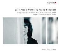 Oeuvres Tardives pour Piano