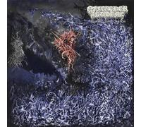 Of Feather and Bone - Sulfuric Disintegration [Import]