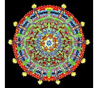 Of Montreal - Hissing Fauna, Are You The Destroyer?