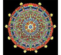 Polyvinyl Records – Hissing Fauna, Are You the Destroyer – Vinyle rouge et jaune