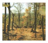 of The Apple [Import]