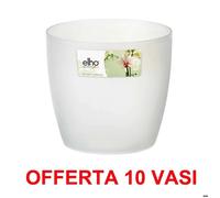 Offerta 10 Vaso Brussels Orchid 16cm Trasparente Elho Per Orchidee Multicolore