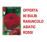 Offerta 80 Bulbi Ranuncolo Asiatic Rosso Bulbs