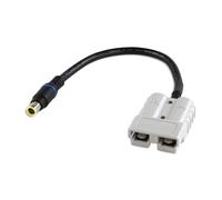 Offgridtec® - Câble adaptateur Anderson vers prise DC 8 mm mâle pour modules FSP et coffrets solaires 20 cm