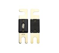 Offgridtec Lot de 5 fusibles ANL 40 A 72 V DIN43560/1