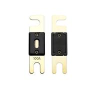 Offgridtec Lot de 5 fusibles ANL DIN43560/1 100 A 72 V
