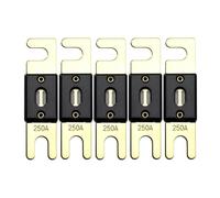 Offgridtec Lot de 5 fusibles ANL DIN43560/1 250 A 72 V